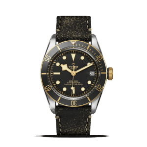 Tudor Black Bay S&G Watch