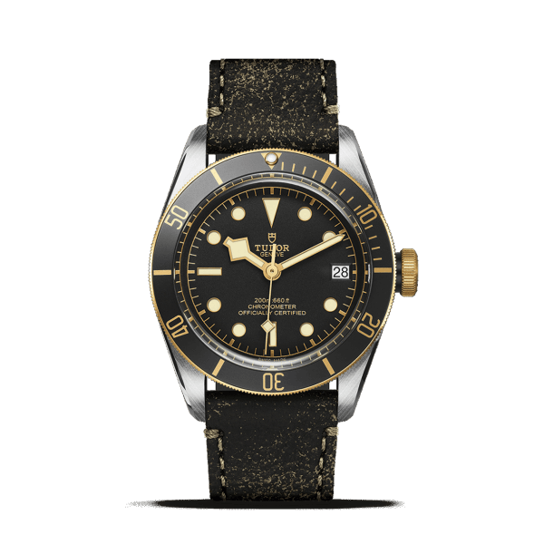Tudor Black Bay S&G Watch