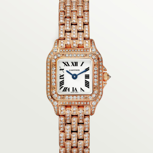 Cartier Panthère de Cartier Mini Silver 18K Rose Gold Watch