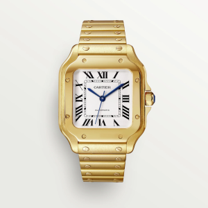 Cartier Santos De Cartier Medium Silver 18K Yellow Gold Watch