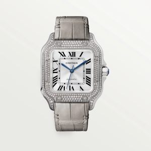 Cartier Santos De Cartier Medium Silver 18K White Gold Watch